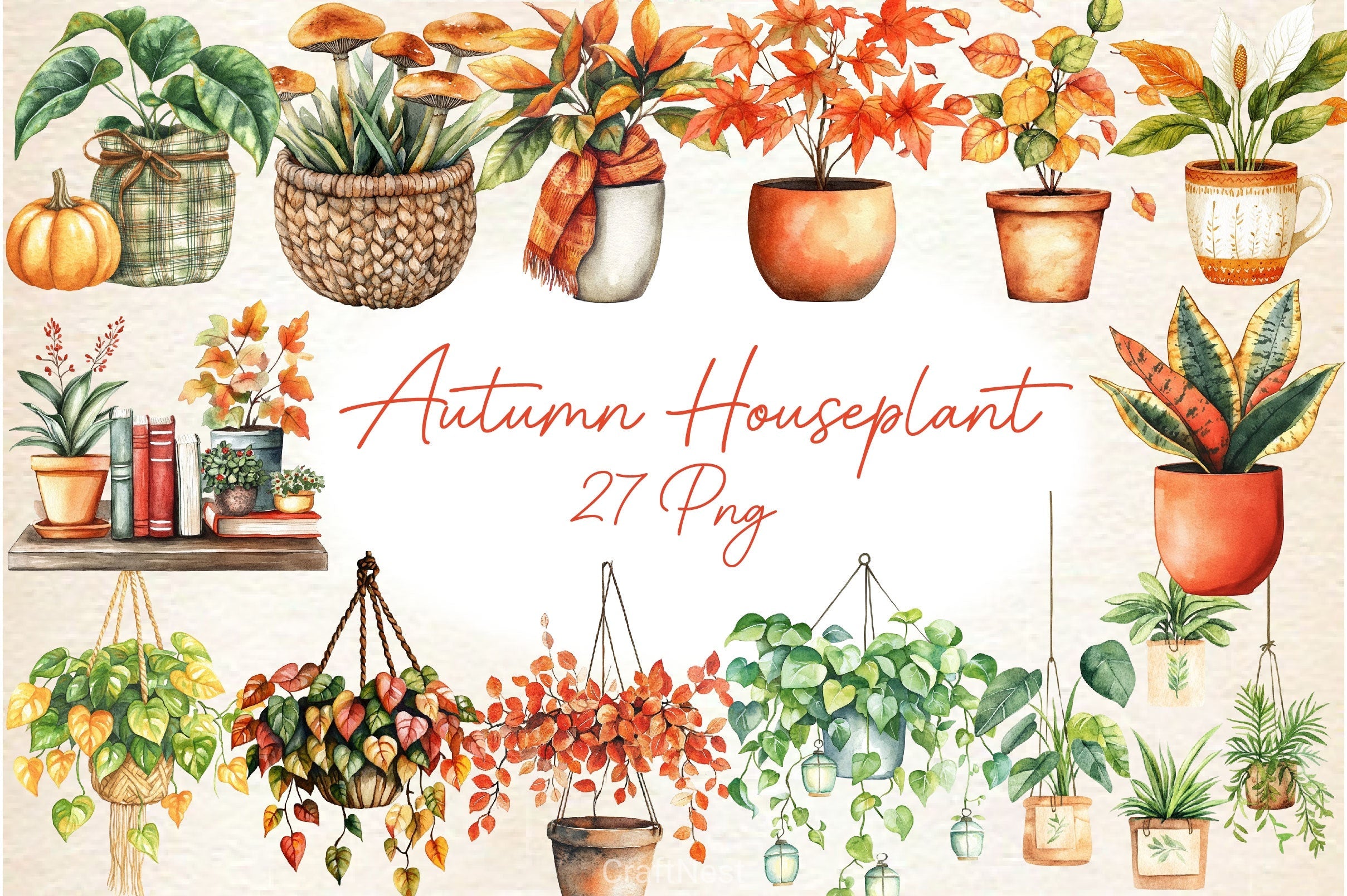 Positive Autumn Houseplant Clipart Bundle 3