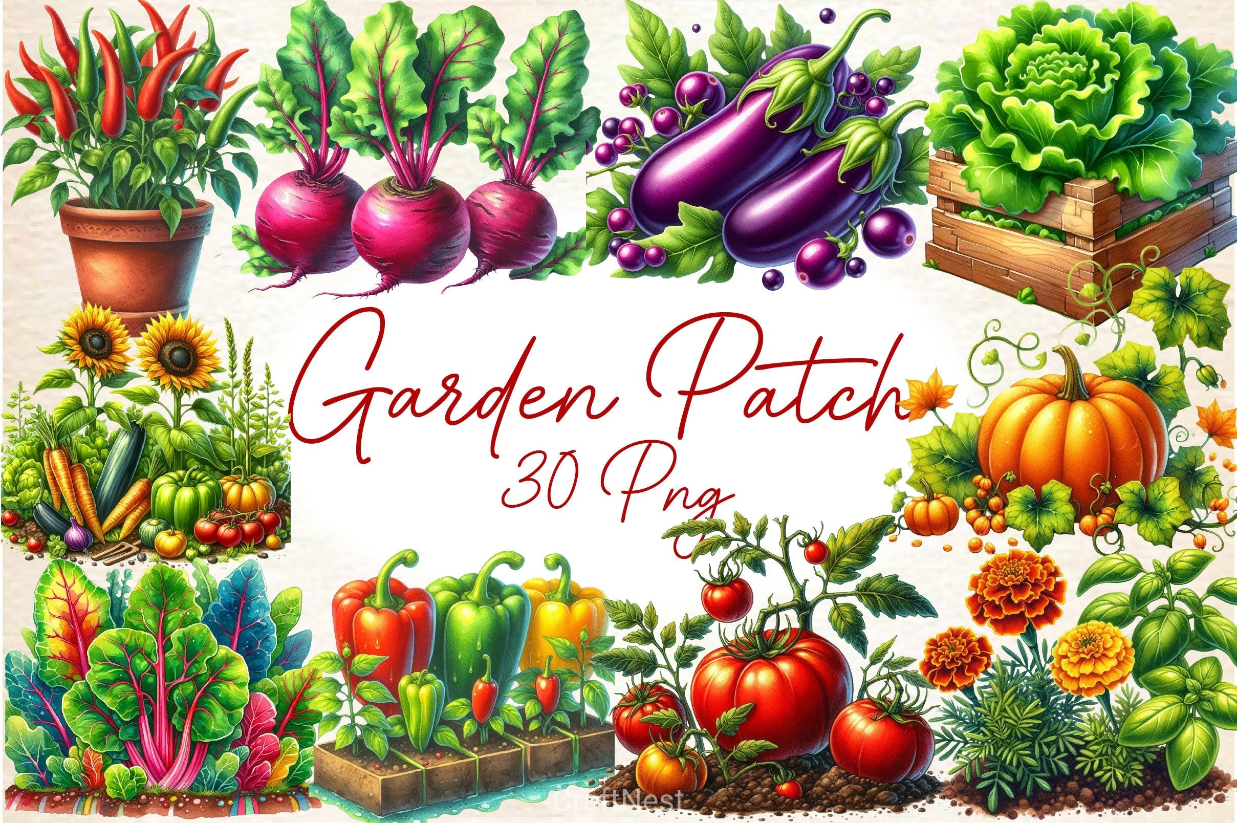 Garden Patch Clipart Bundle