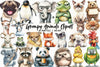Grumpy Animals Clipart Bundle