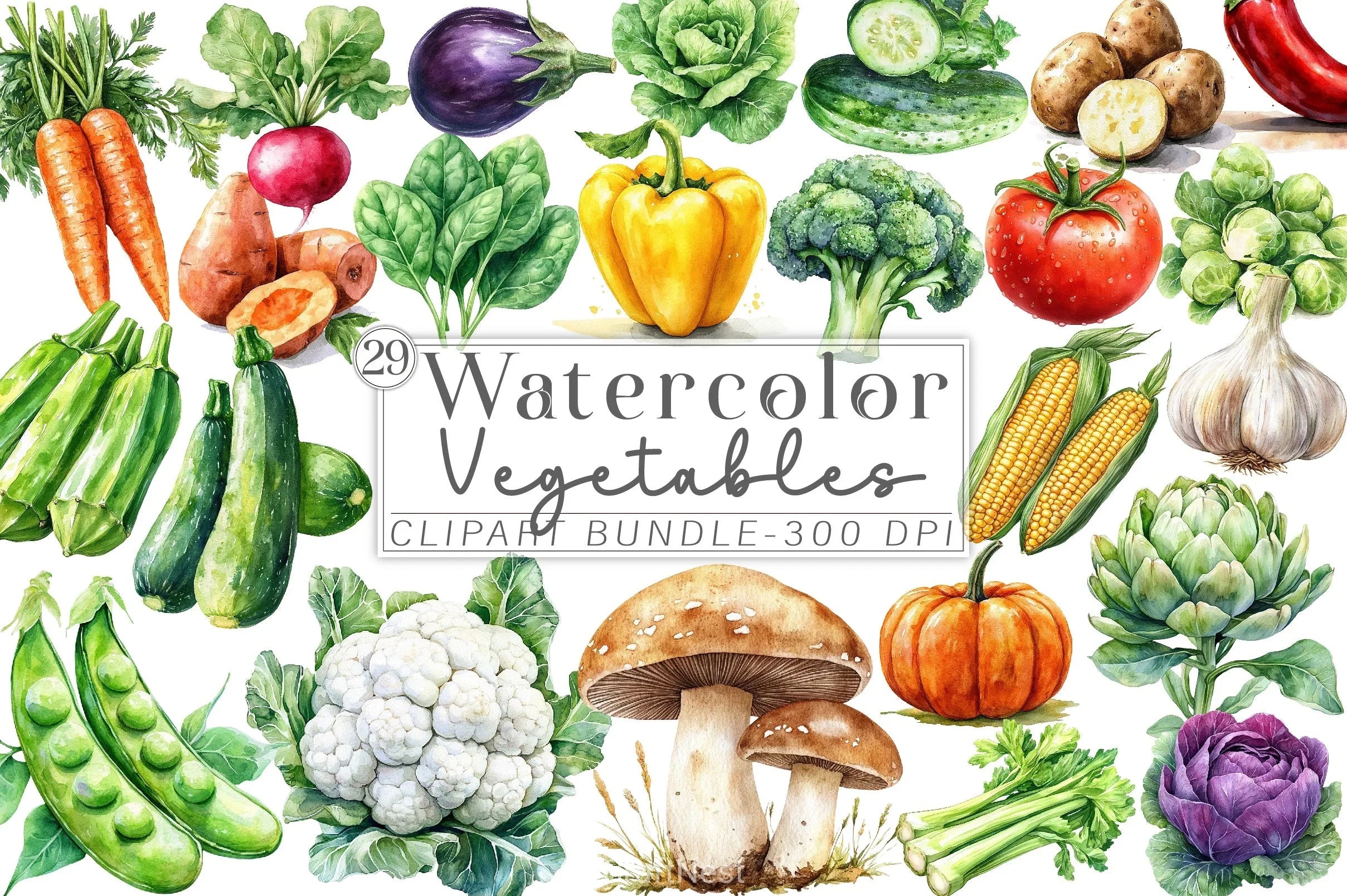 Vegetables Clipart Bundle 6 - CraftNest - Digital Crafting and Art
