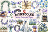 Spring Campanula Flower Clipart Bundle