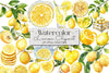 Lemon Clipart Bundle