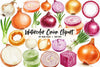 Onion Clipart Bundle