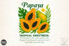 Papaya Tropical Clipart Bundle
