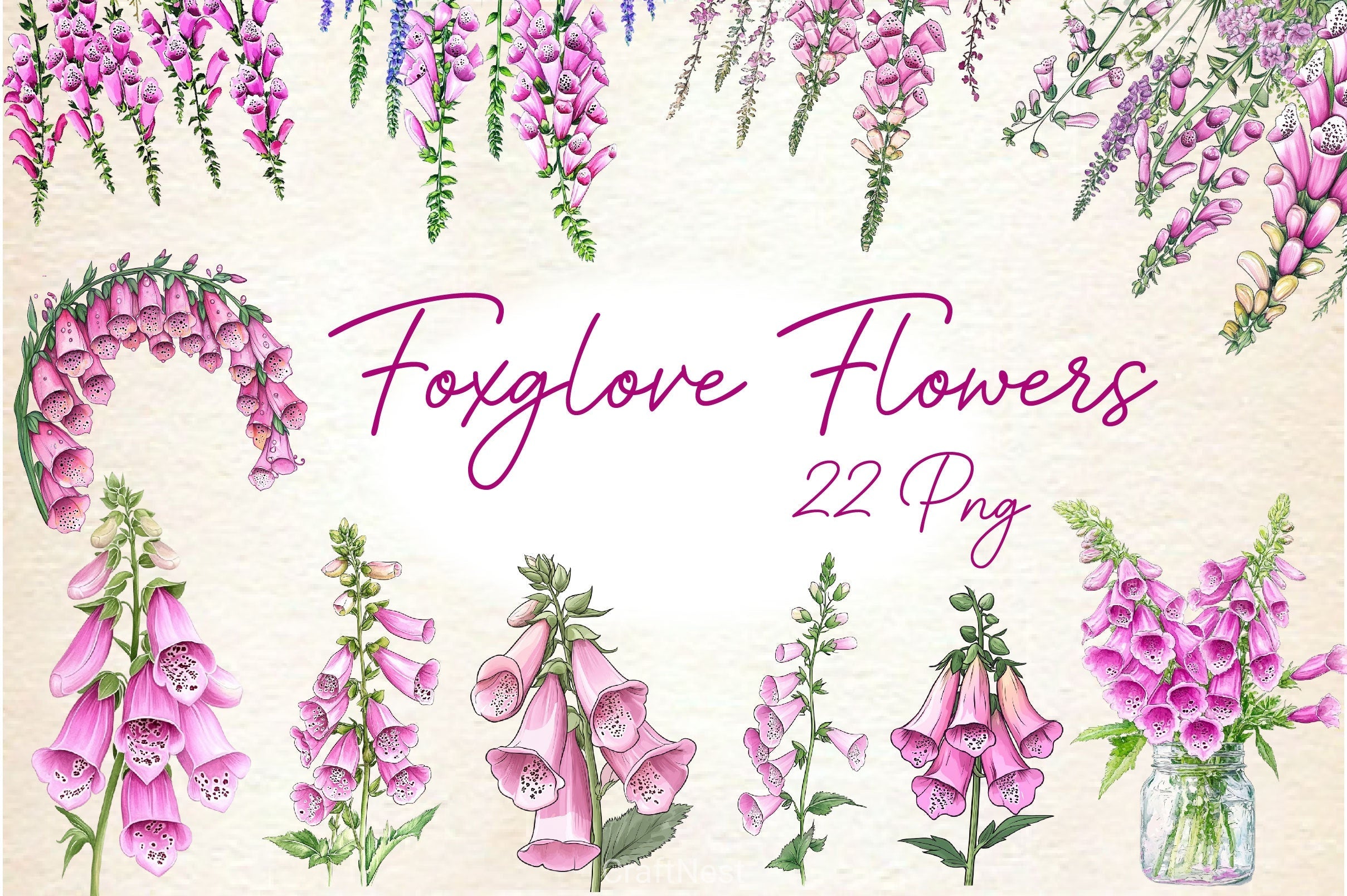 Pink Flowers Foxglove Clipart Bundle