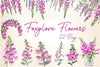 Pink Flowers Foxglove Clipart Bundle