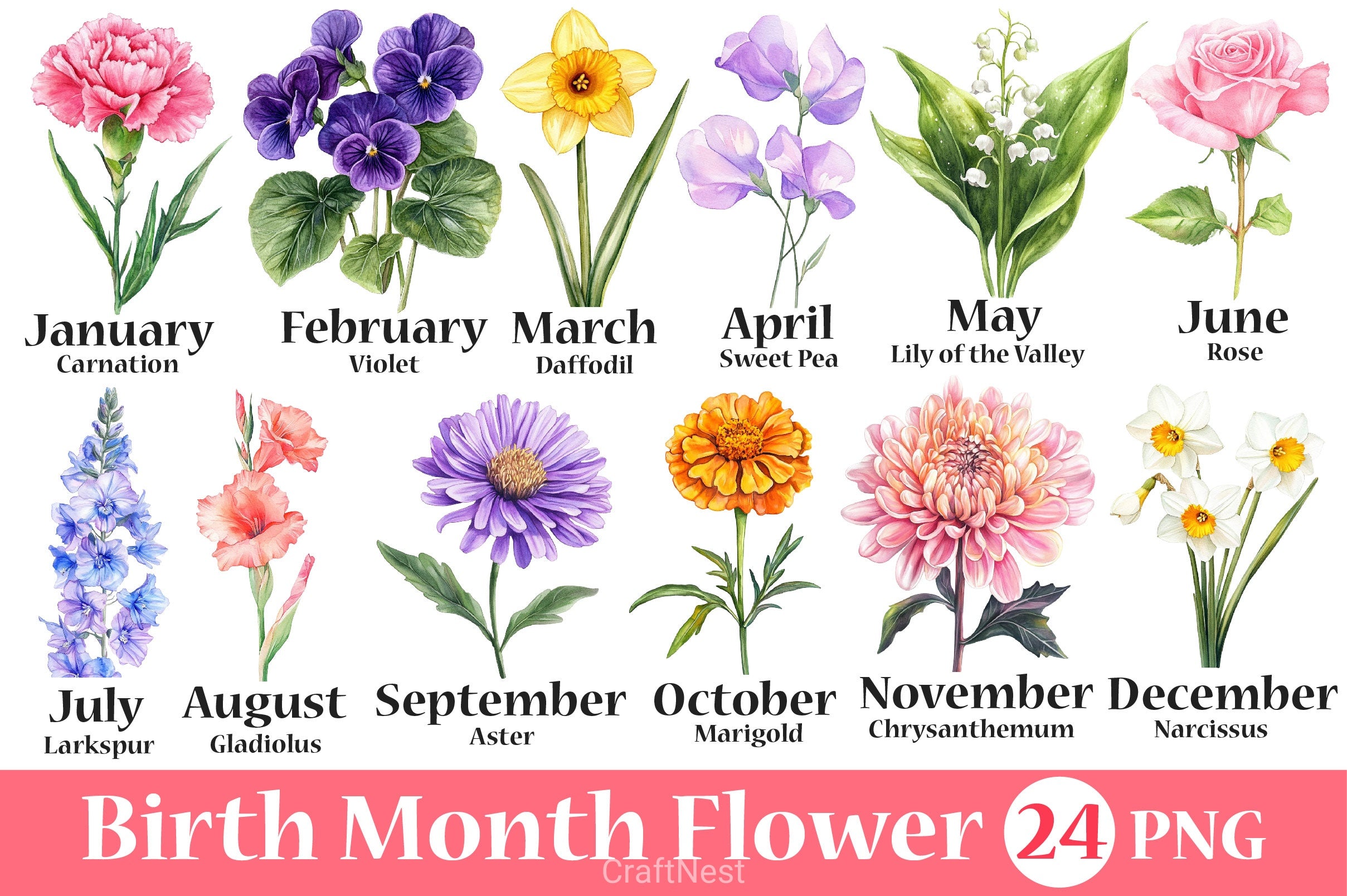 Birth Month Flower Clipart Bundle 3