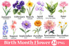 Birth Month Flower Clipart Bundle 3