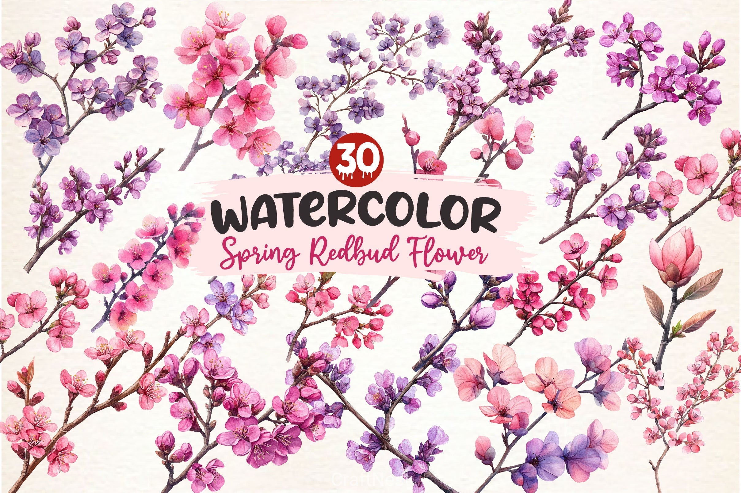 Spring Redbud Flower Clipart Bundle 2