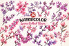 Spring Redbud Flower Clipart Bundle 2