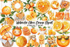 Citrus Orange Clipart Bundle