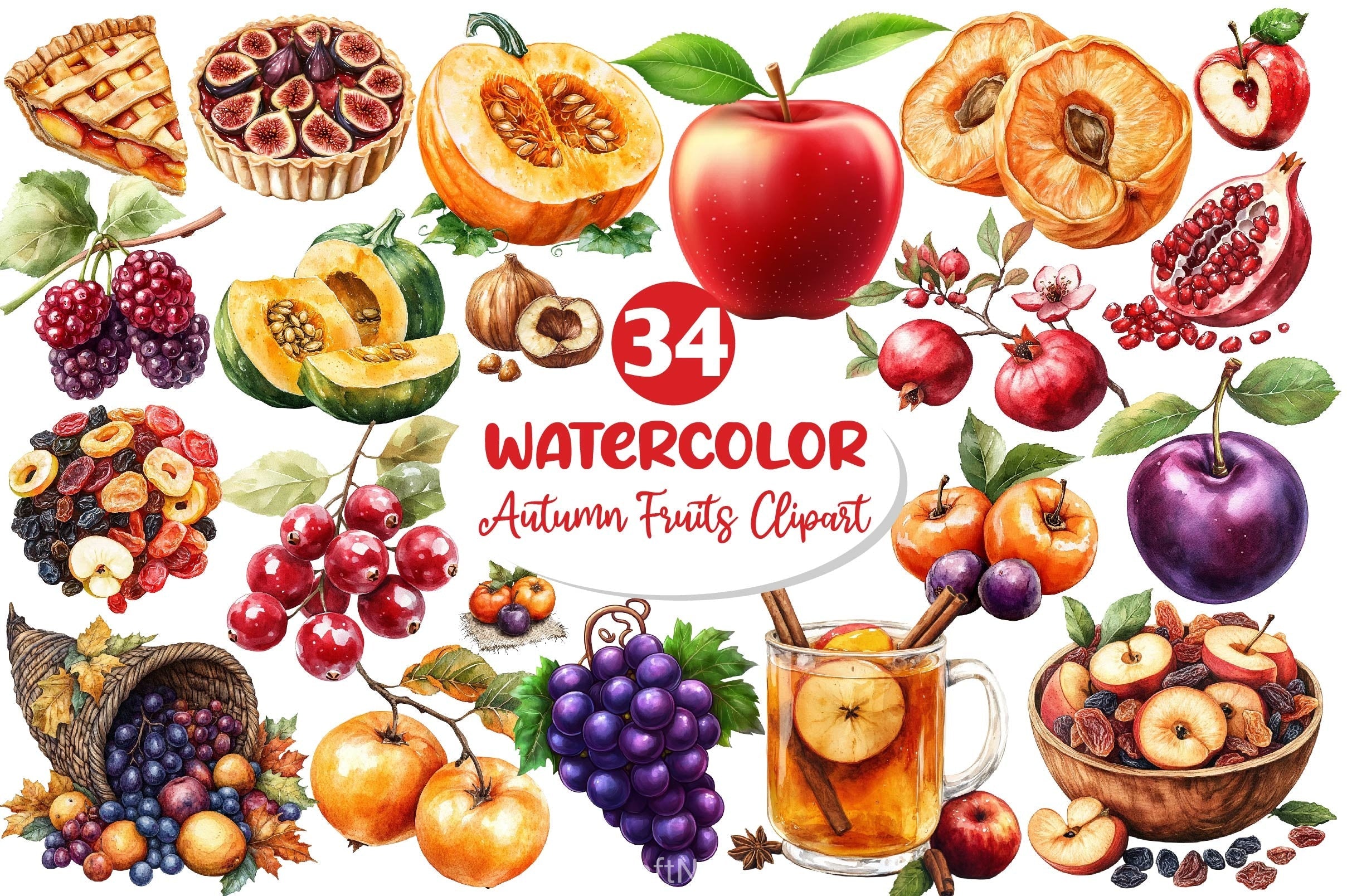 Autumn Fruits Clipart Bundle 5