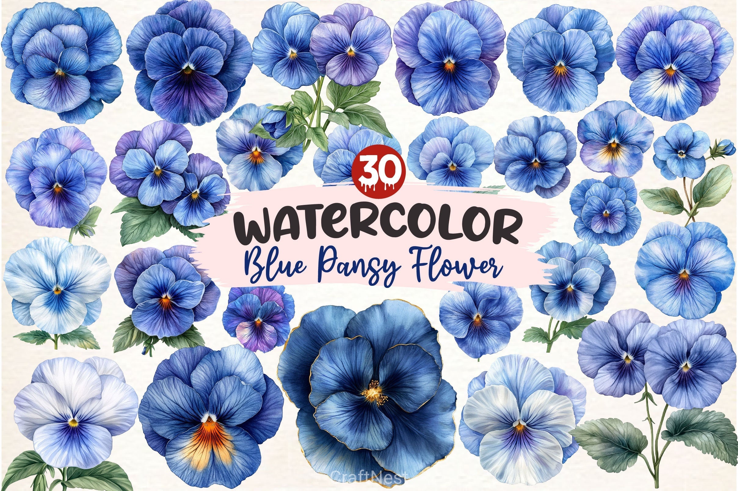 Blue Pansy Flower Clipart Bundle