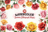 Summer Lithograph Roses Clipart Bundle