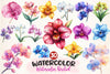 Orchid Clipart Bundle 2