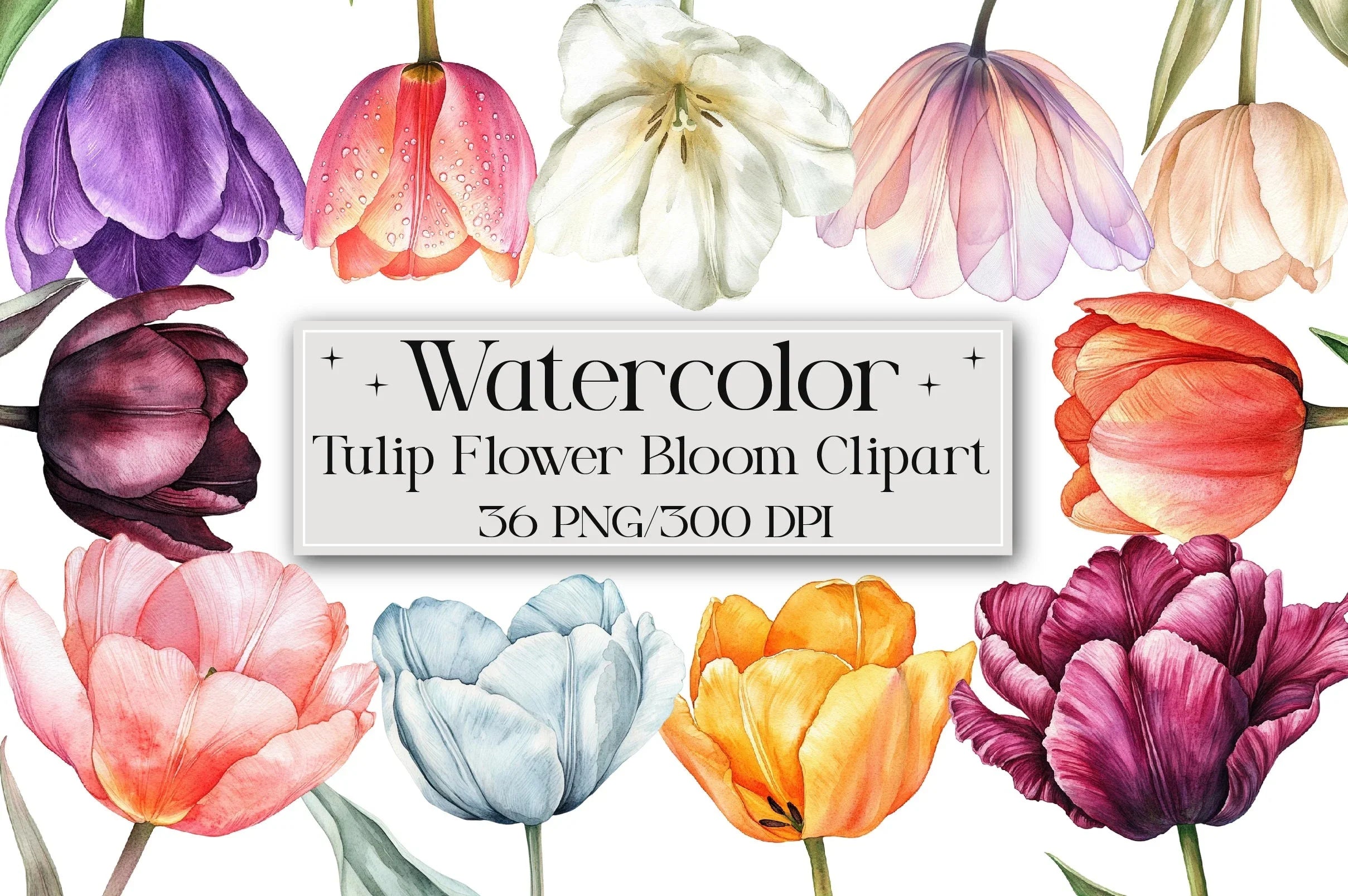 Tulip Flower Clipart Bundle - CraftNest - Digital Crafting and Art
