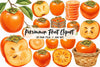 Persimmon Fruit Clipart Bundle