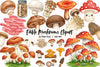Edible Mushrooms Clipart Bundle