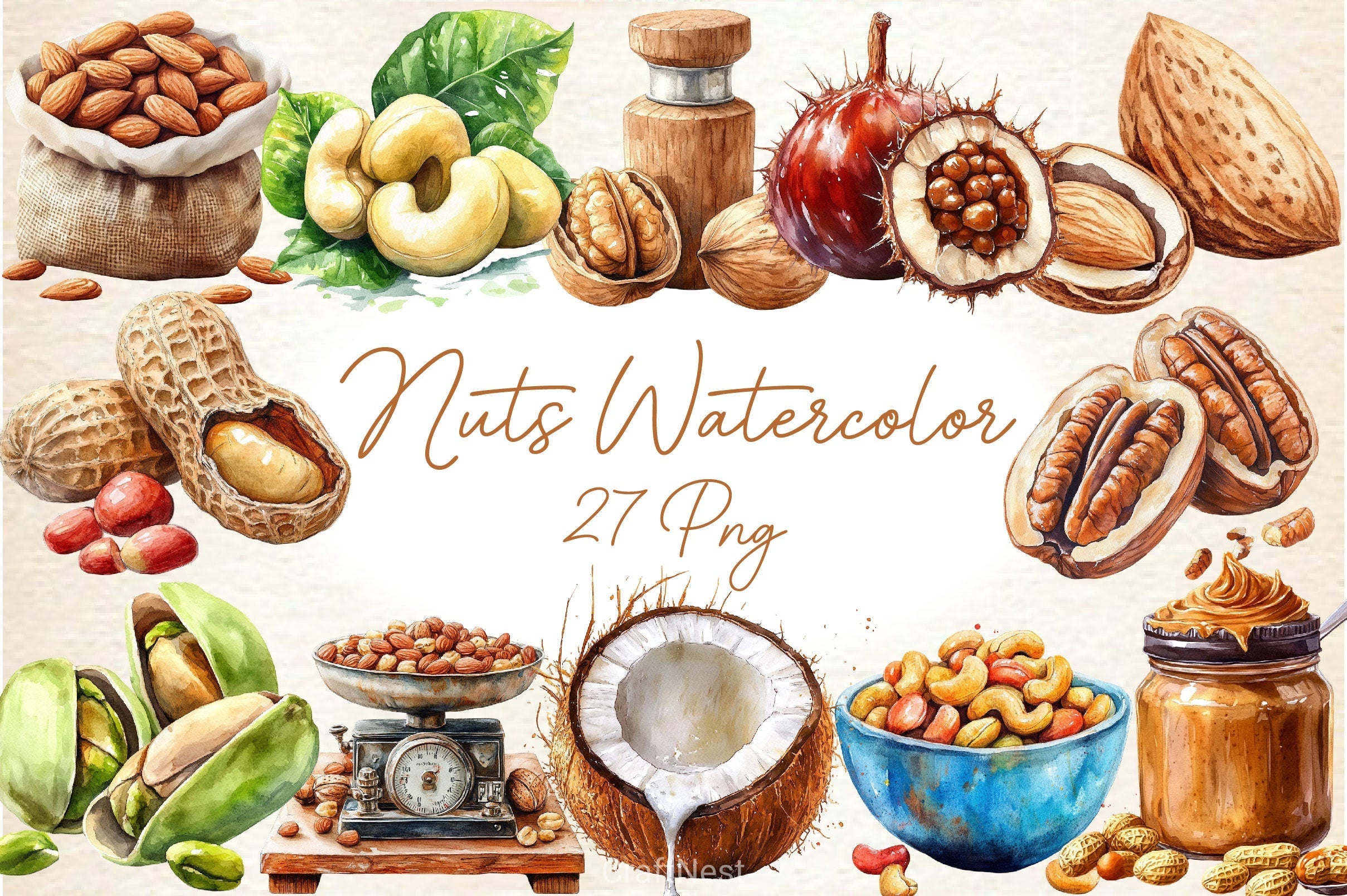 Nuts Clipart Bundle 2