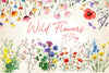 Spring Flowers Wild Flowers Clipart Bundle