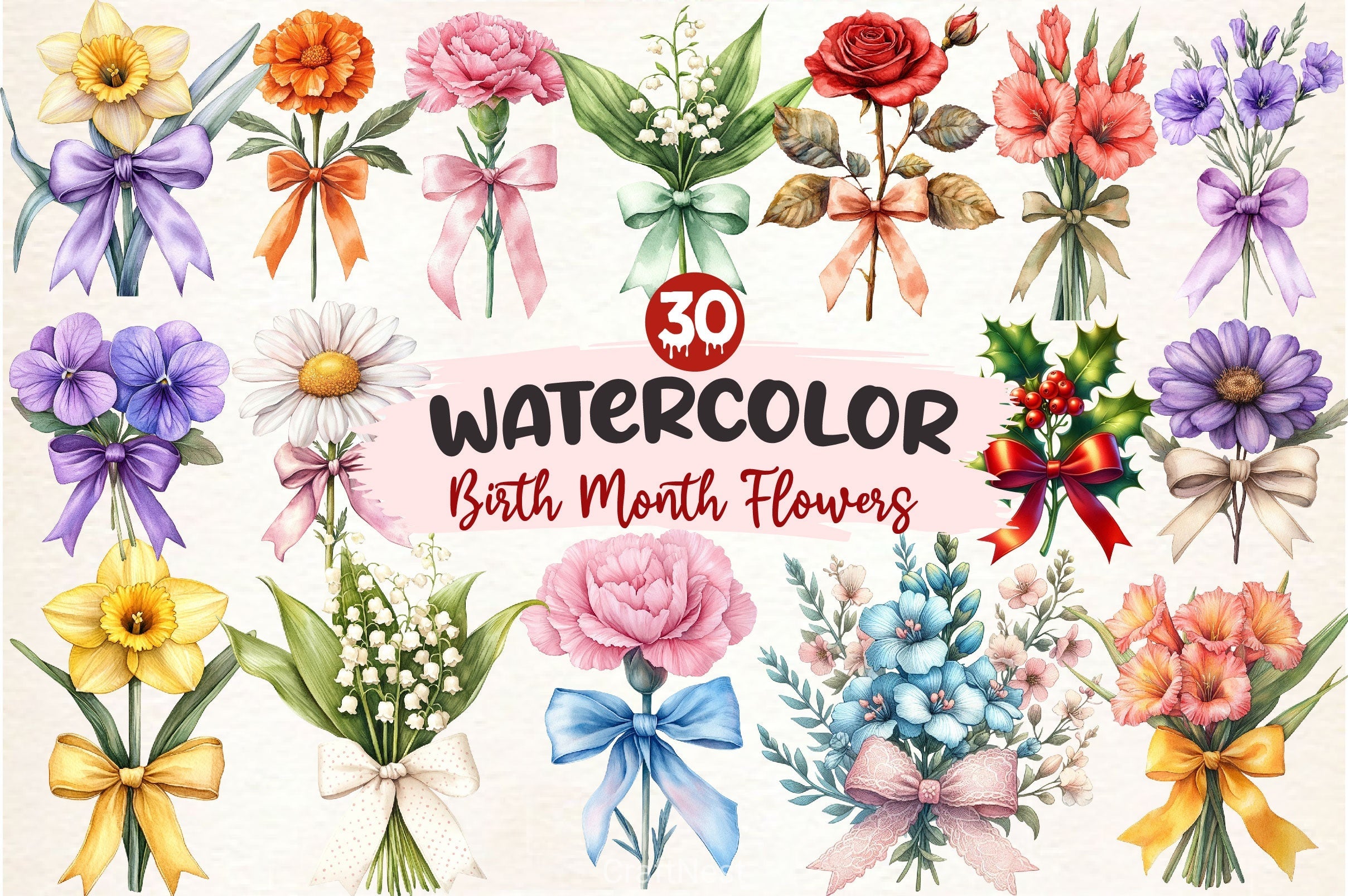 Coquette Birth Month Flowers Clipart Bundle