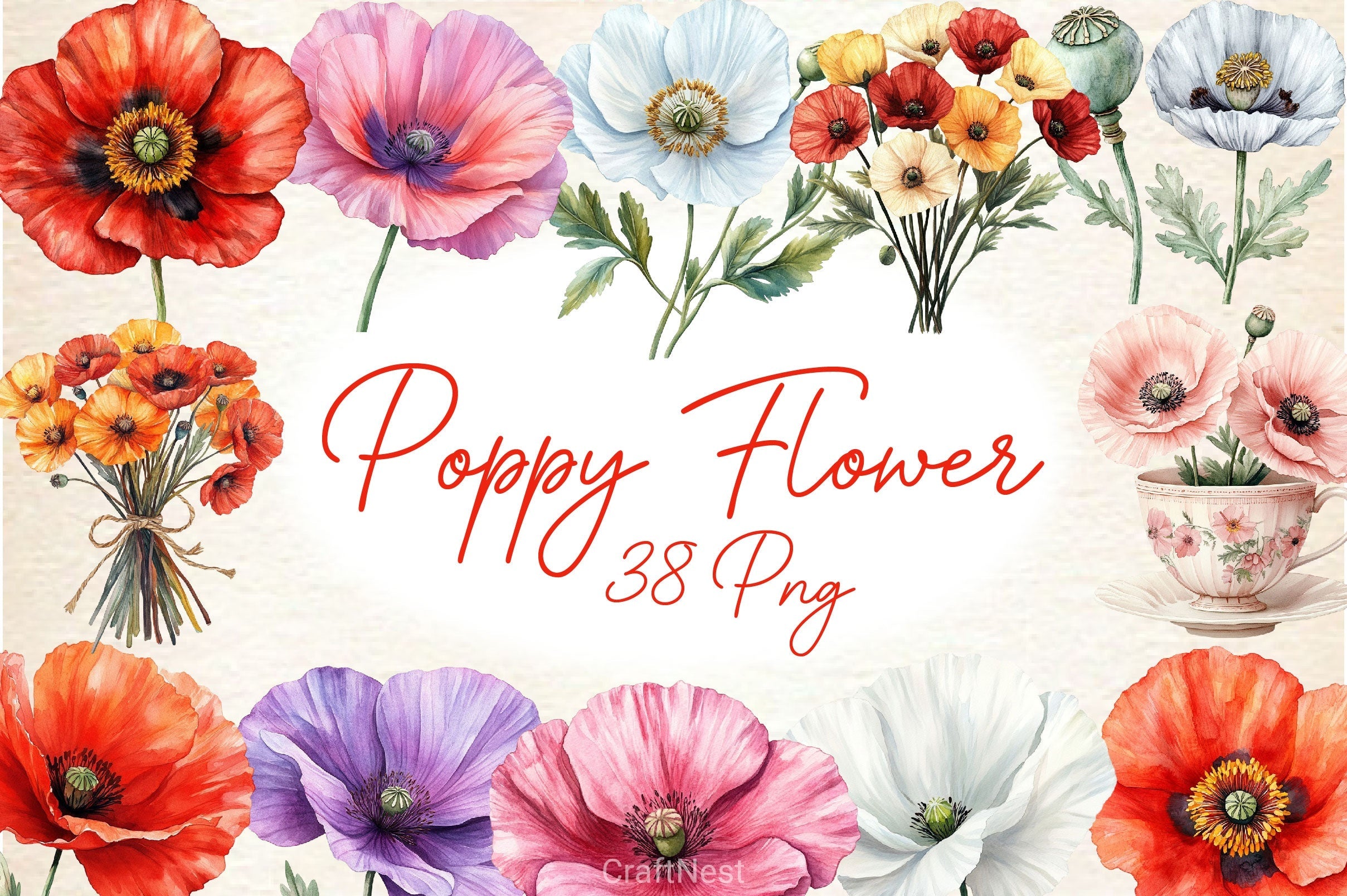 Poppy Flower Clipart Bundle 4
