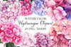 Hydrangea Clipart Bundle