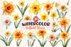 Daffodil Flower Clipart Bundle 2