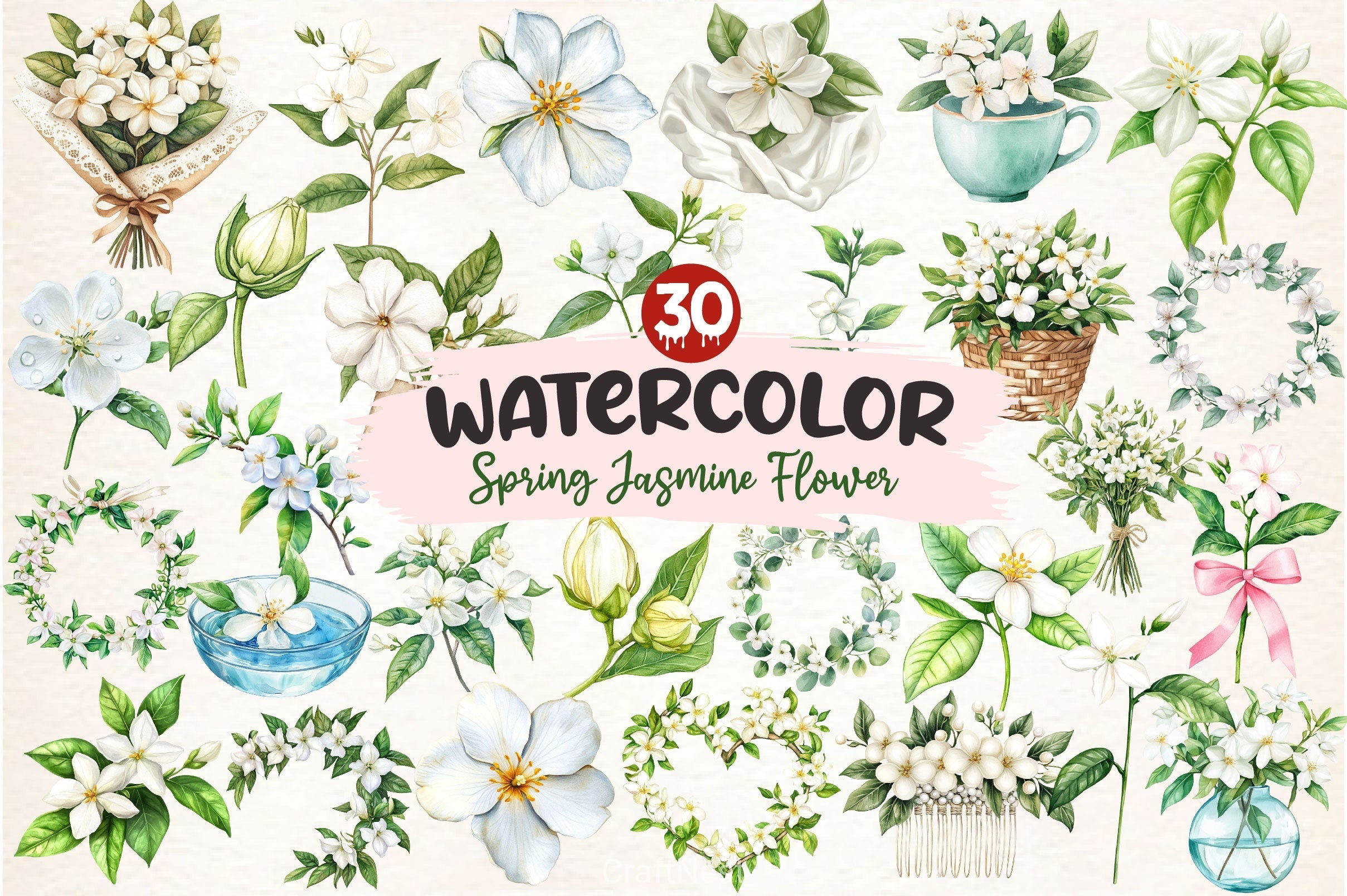 Spring Jasmine Flower Clipart Bundle 5