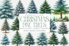 Christmas Pine Trees Clipart Bundle