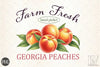 Farm Fresh Georgia Peaches Clipart Bundle