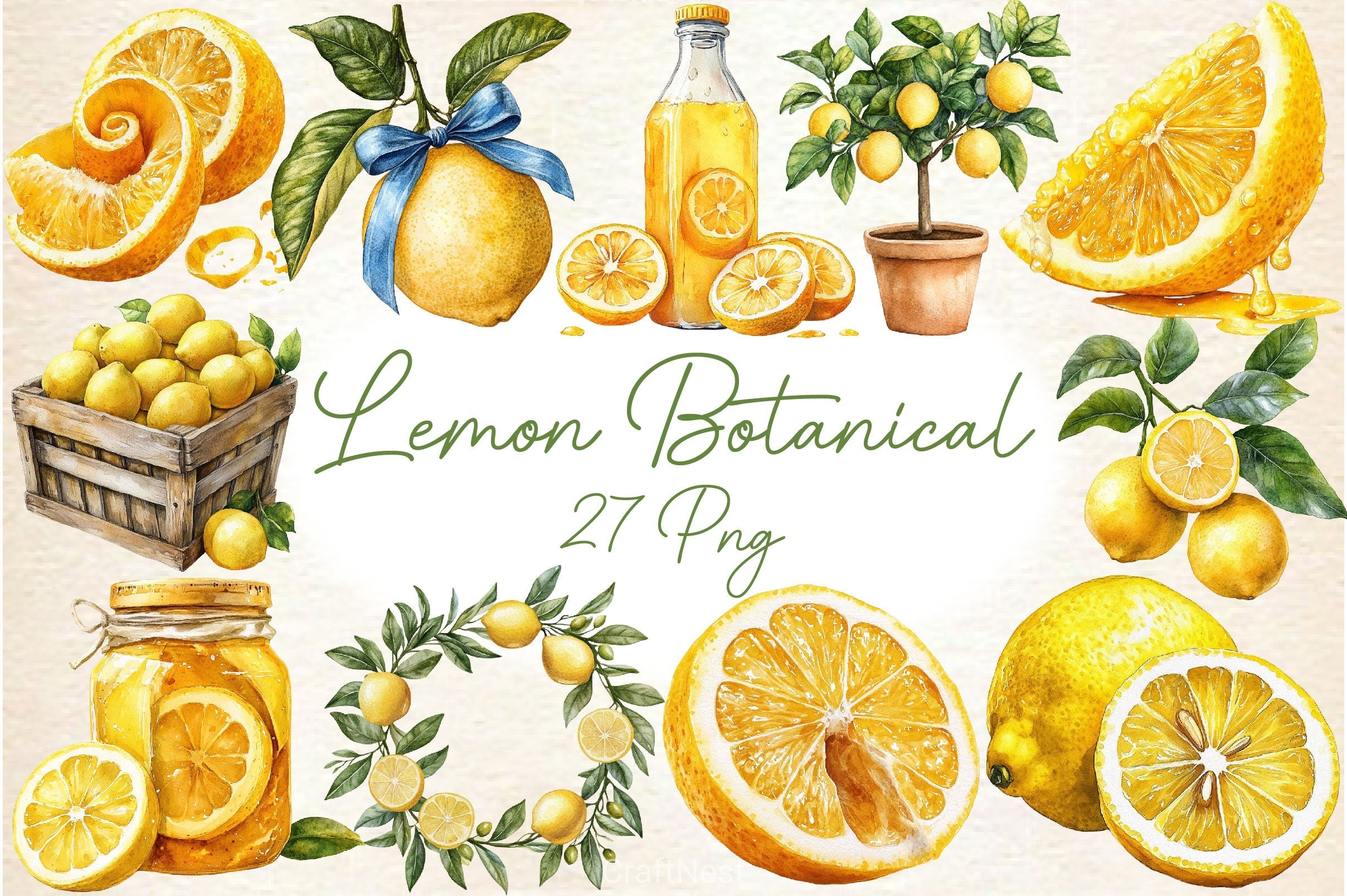 Mediterranean Lemon Botanical Clipart Bundle 4