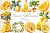 Mediterranean Lemon Botanical Clipart Bundle 4