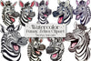 Funny Cartoon Zebra Clipart Bundle