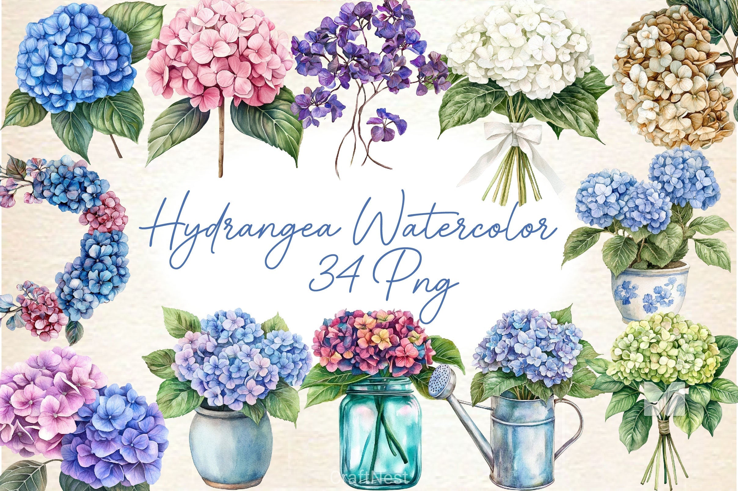 Hydrangea Clipart Bundle 2
