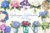 Hydrangea Clipart Bundle 2