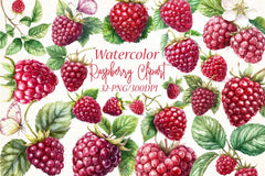 Raspberry Clipart Bundle 52 - CraftNest - Digital Crafting and Art