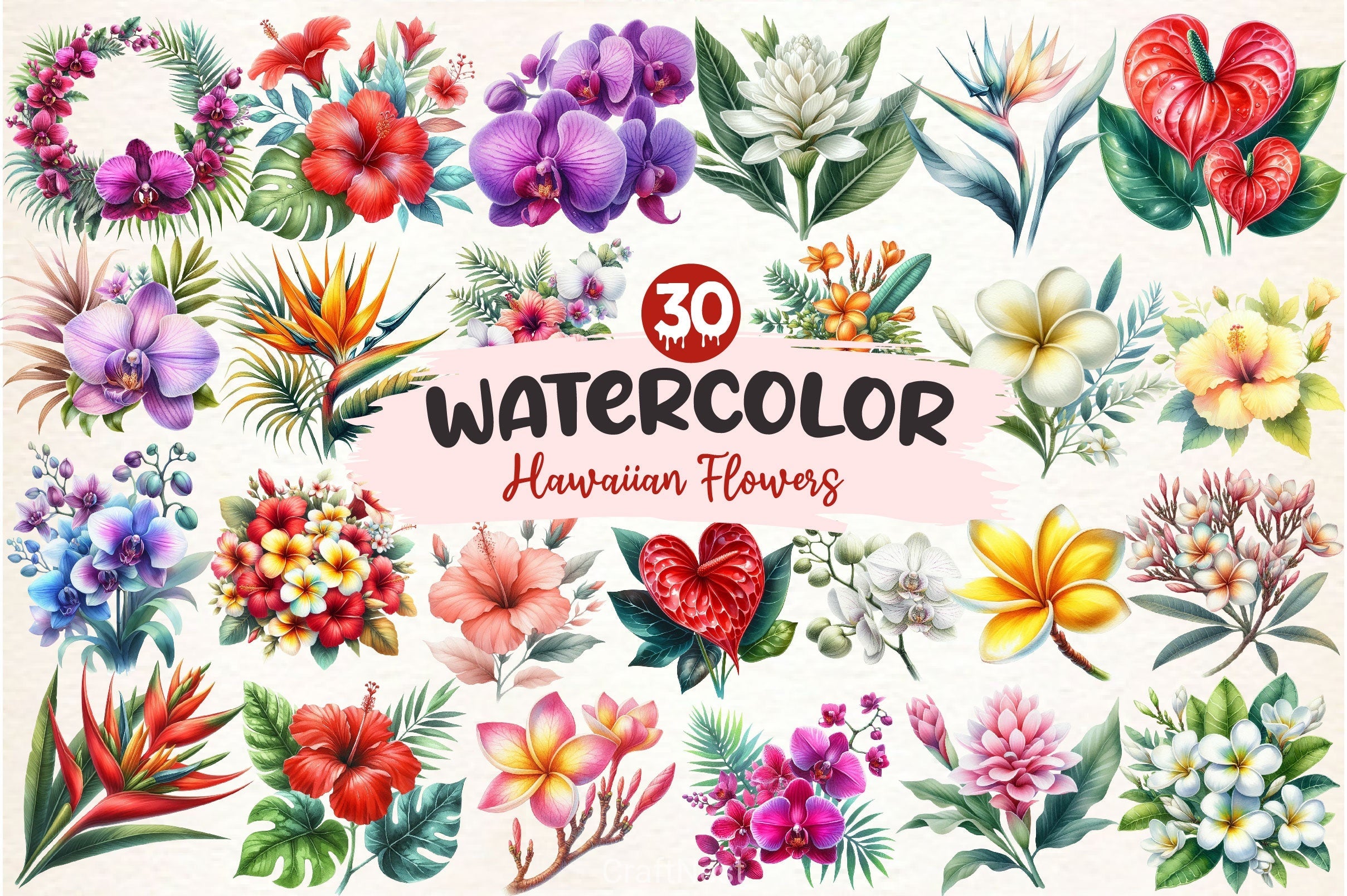 Hawaiian Flowers Clipart Bundle