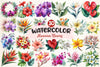 Hawaiian Flowers Clipart Bundle