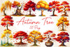 Autumn Tree Clipart Bundle 2