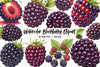 Blackberry Clipart Bundle