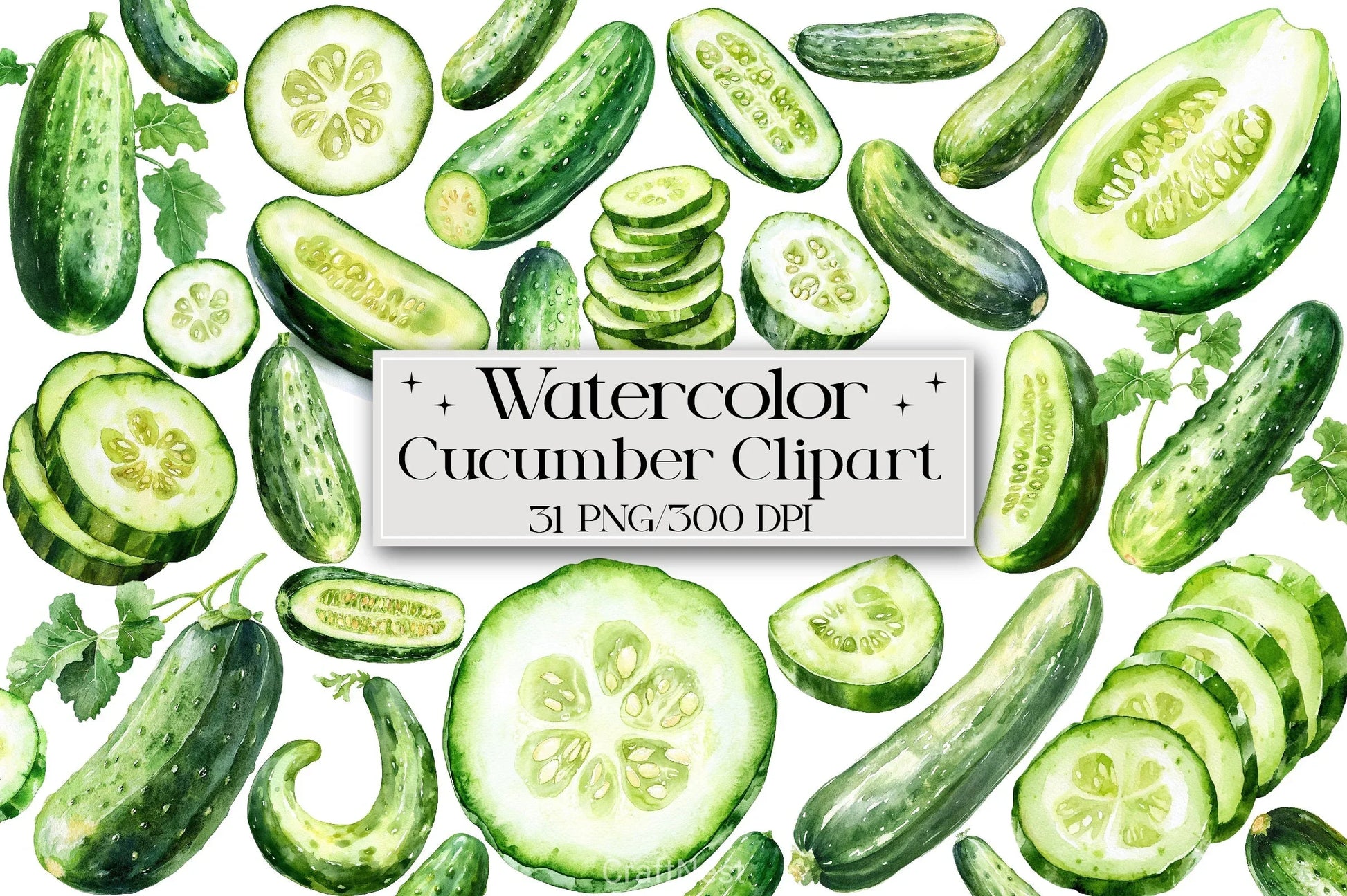 Cucumber Clipart Bundle - CraftNest - Digital Crafting and Art