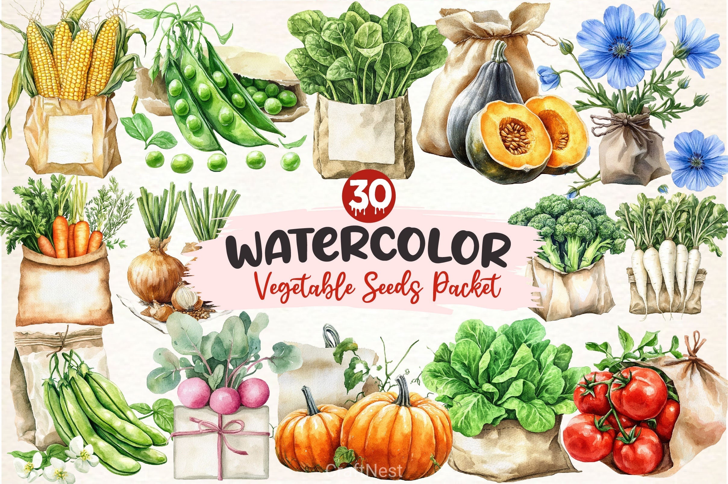 Vegetable Seeds Packet Clipart Bundle