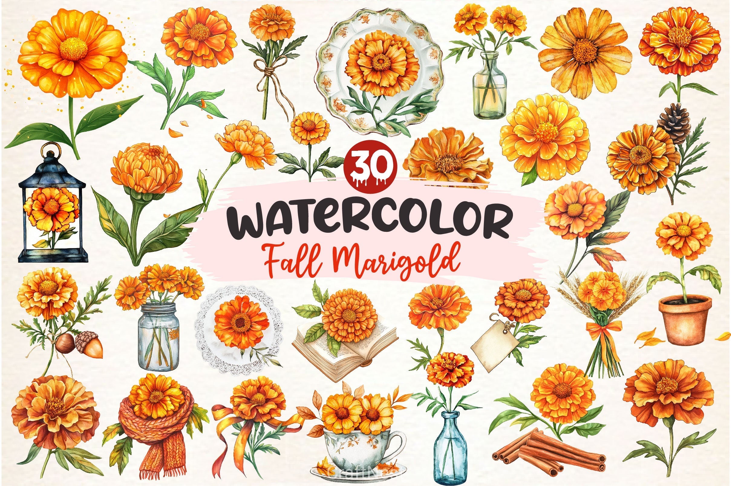 Fall Marigold Clipart Bundle 2