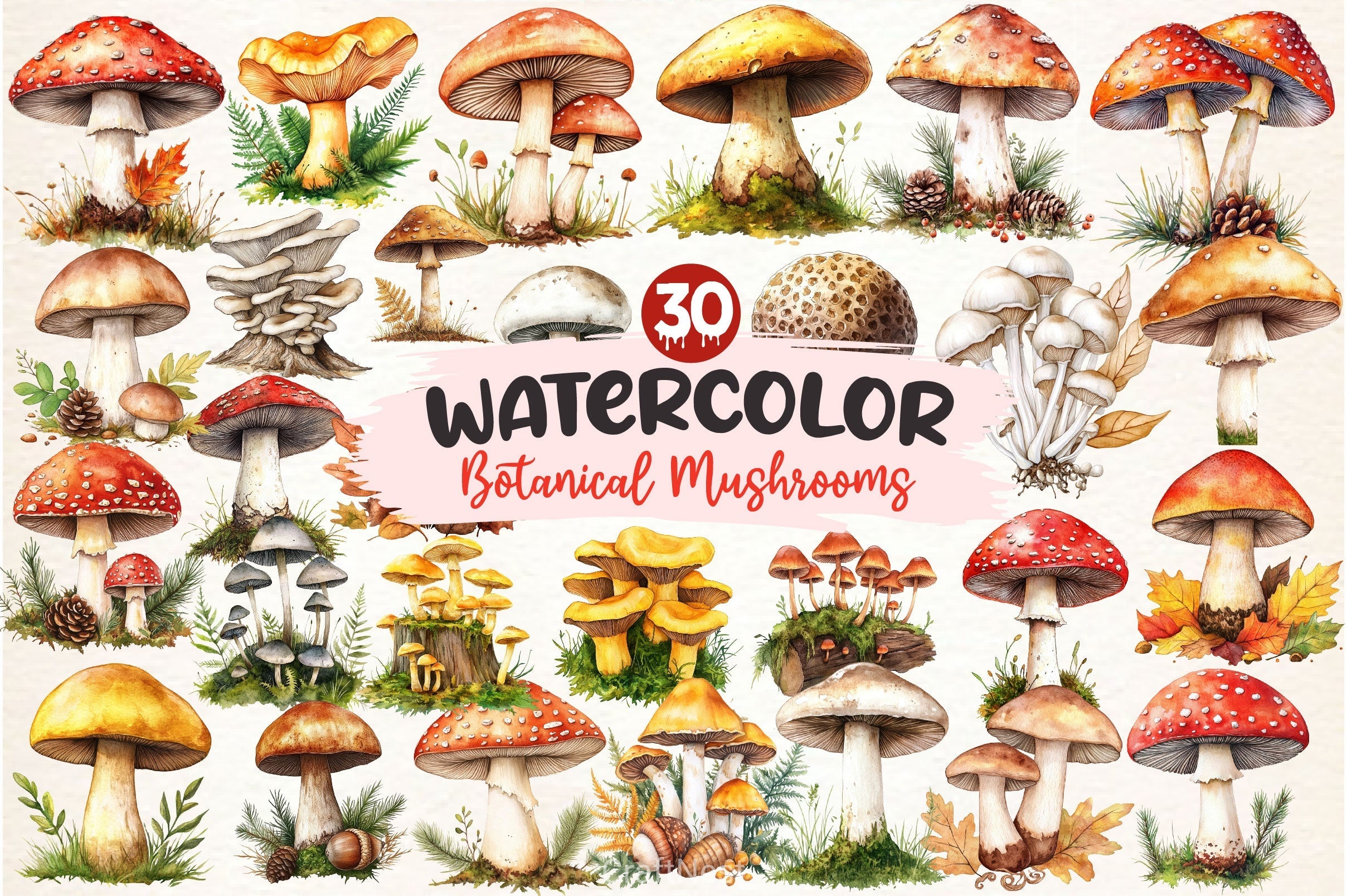 Botanical Autumn Mushrooms Clipart Bundle