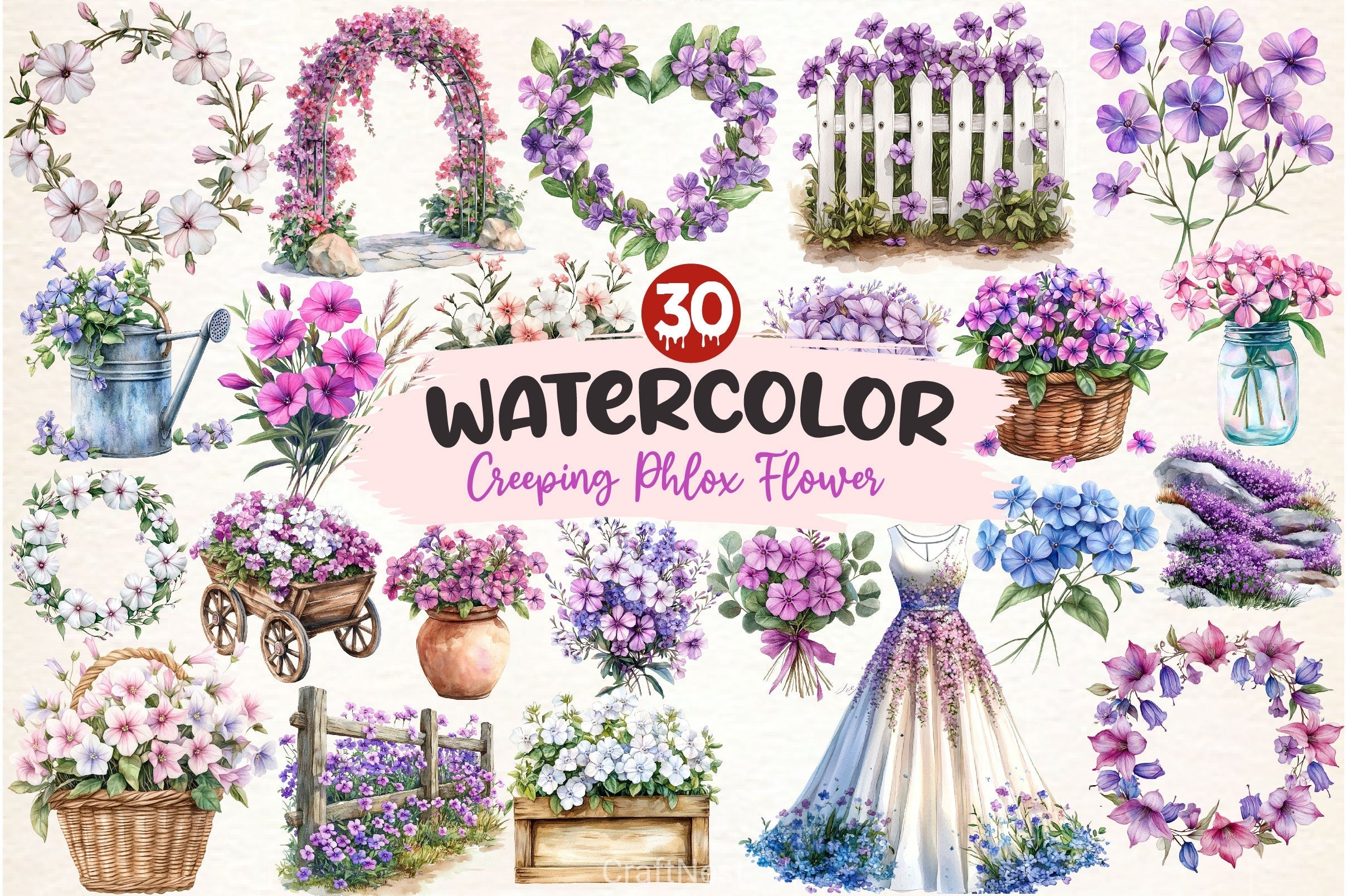 Spring Creeping Phlox Flower Clipart Bundle