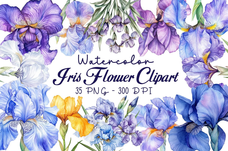 Iris Flower Clipart Bundle - CraftNest - Digital Crafting and Art