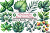 Green Summer Foliage Clipart Bundle