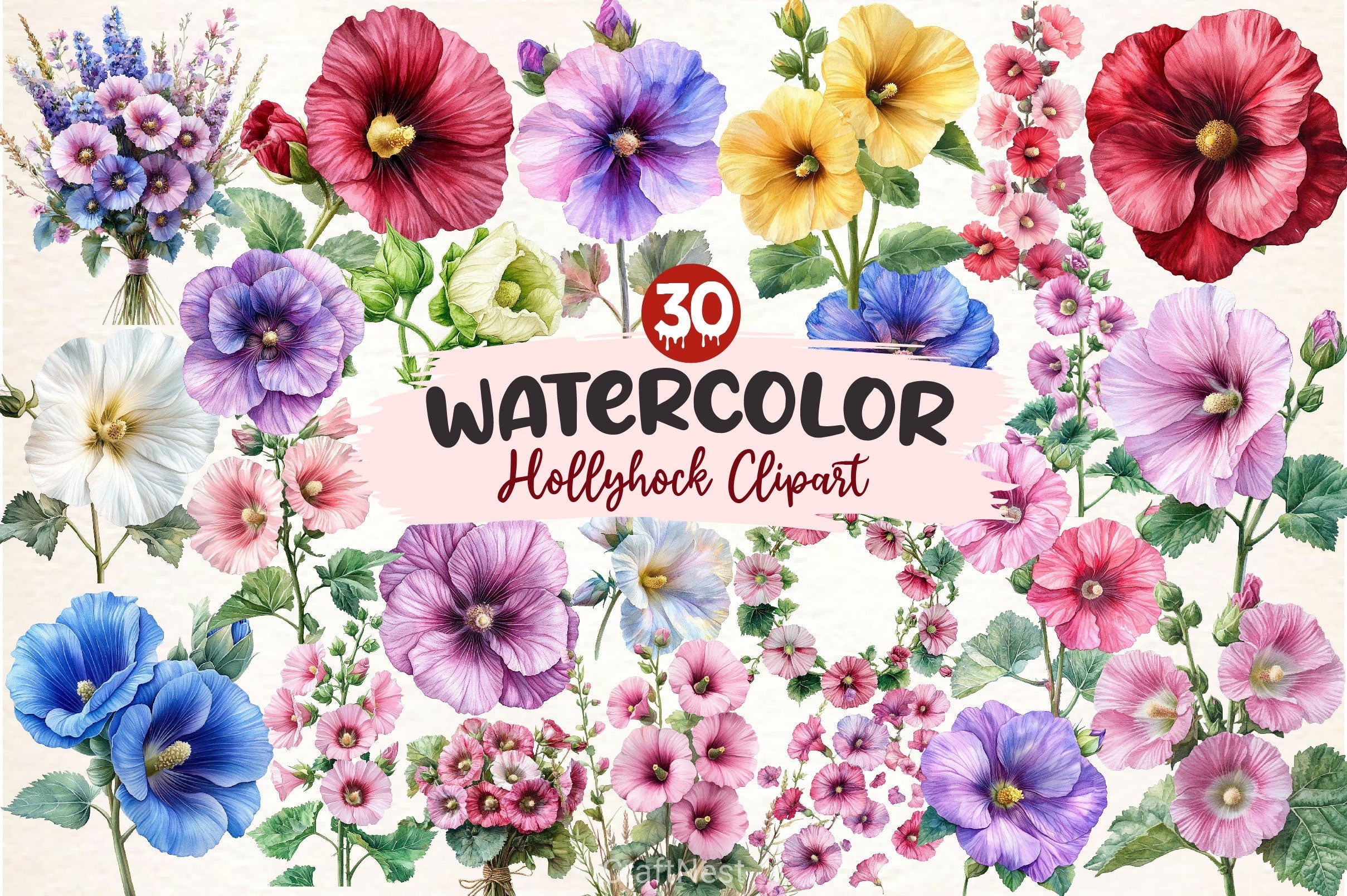 Hollyhock Clipart Bundle