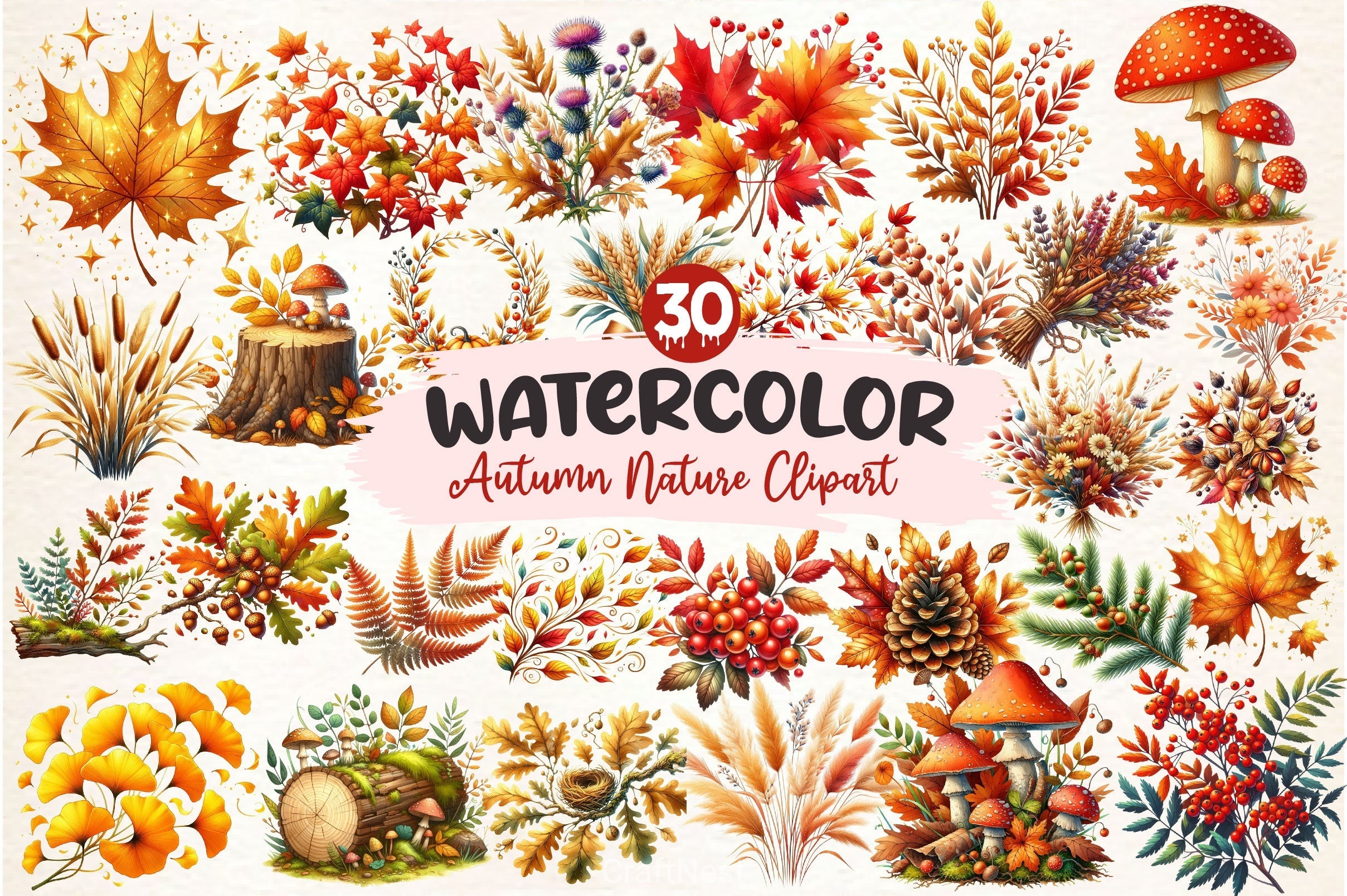 Autumn Nature Clipart Bundle